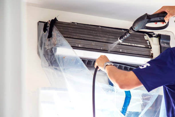Air Duct Mold Removal in Penn Valley, CA